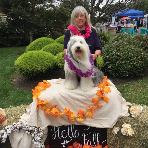 Meet your Posher, Karen - Picture 2 of 3